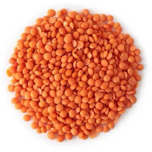 عدس احمر