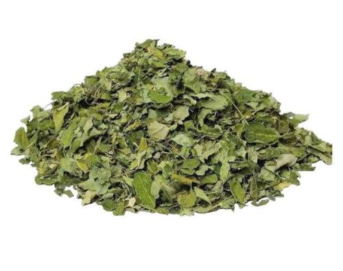 مورينجا ورق