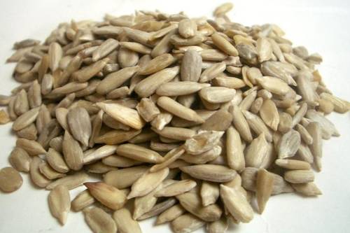 لب دوار الشمس مقشر