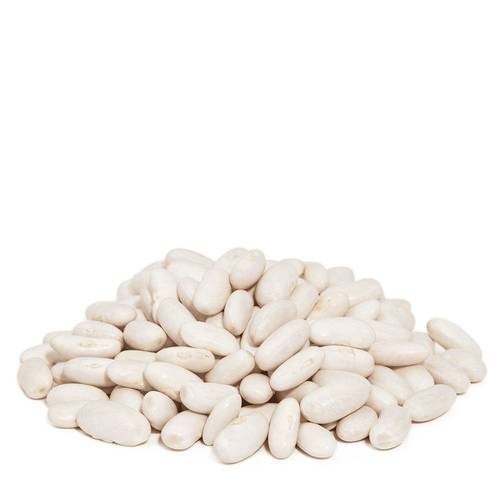 لوبيا