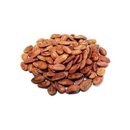 حب قرع مدخن