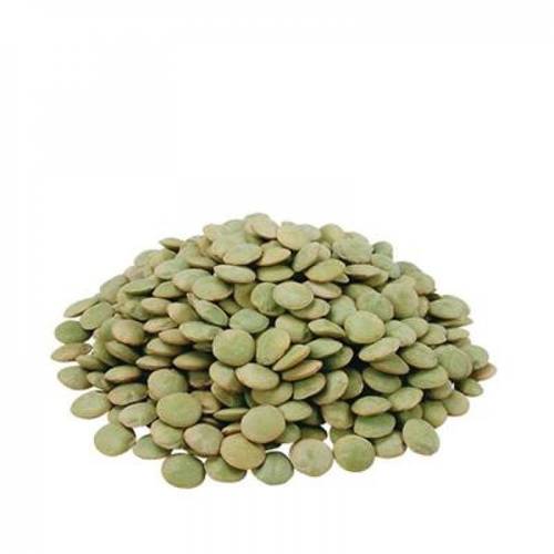 عدس اخضر