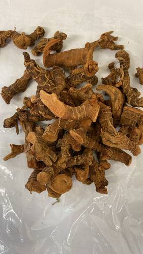 خولنجان صغير