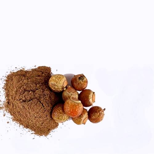 عشبة الريتا