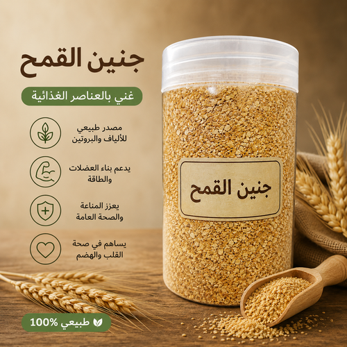 جنين القمح