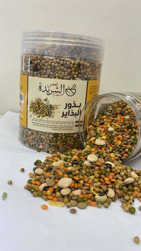 بذور البذاير كبير لمدة شهر