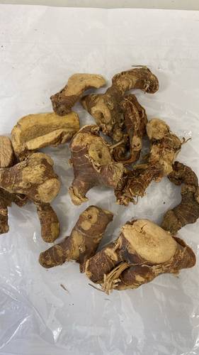 خولنجان كبير