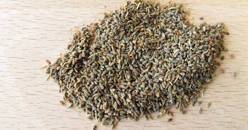 بذور الخله