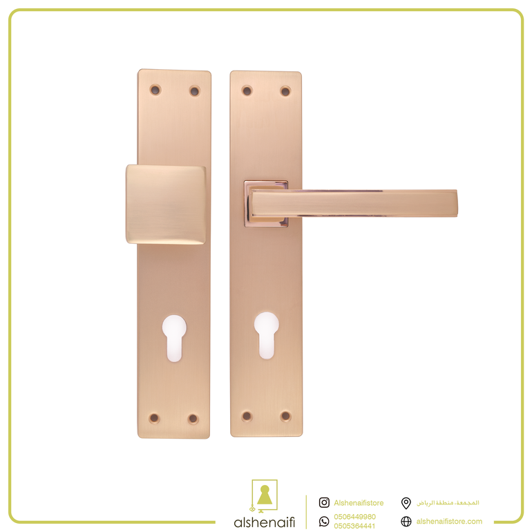 مقبض باب ثابت متحرك RGP H5269