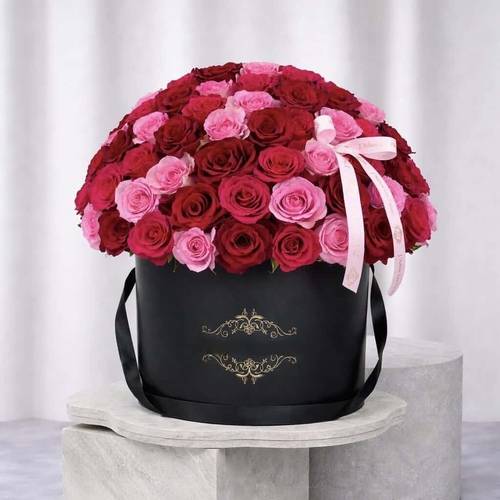 بوكس إيلورا