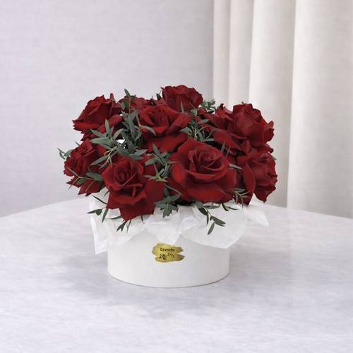 بوكس ست الكل 