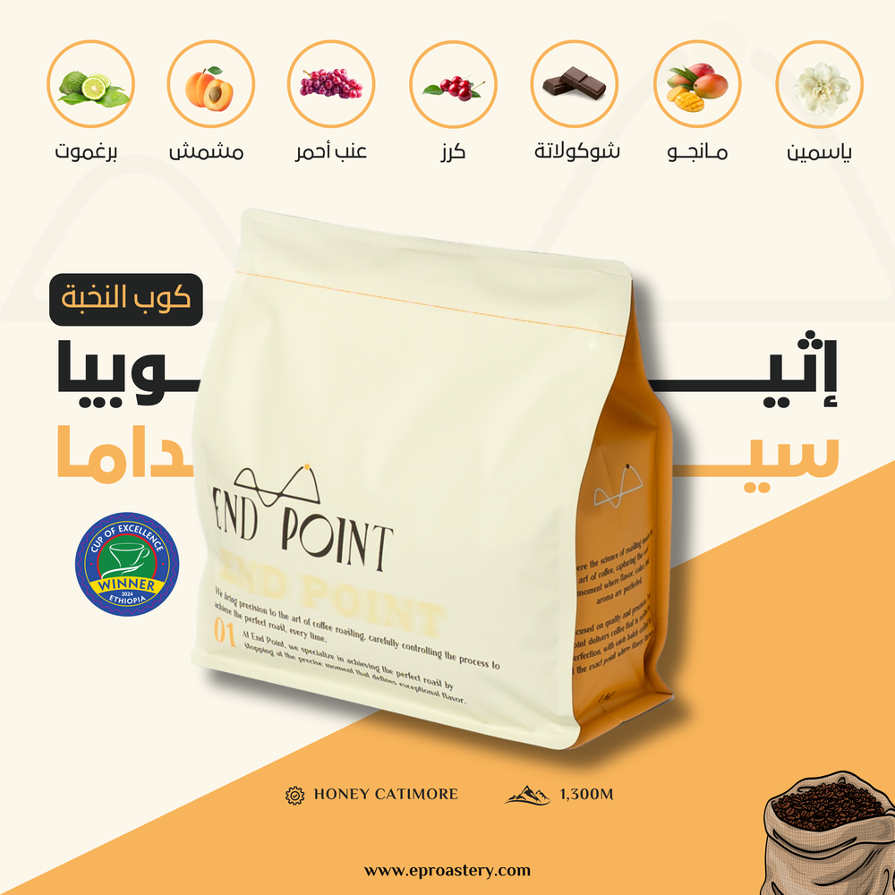 اثيوبيا سيداما كوب النخبه