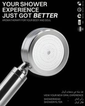 رأس الدش 