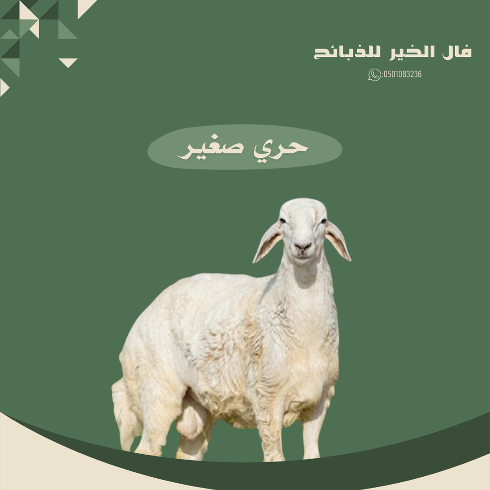 طلي حري صغير 