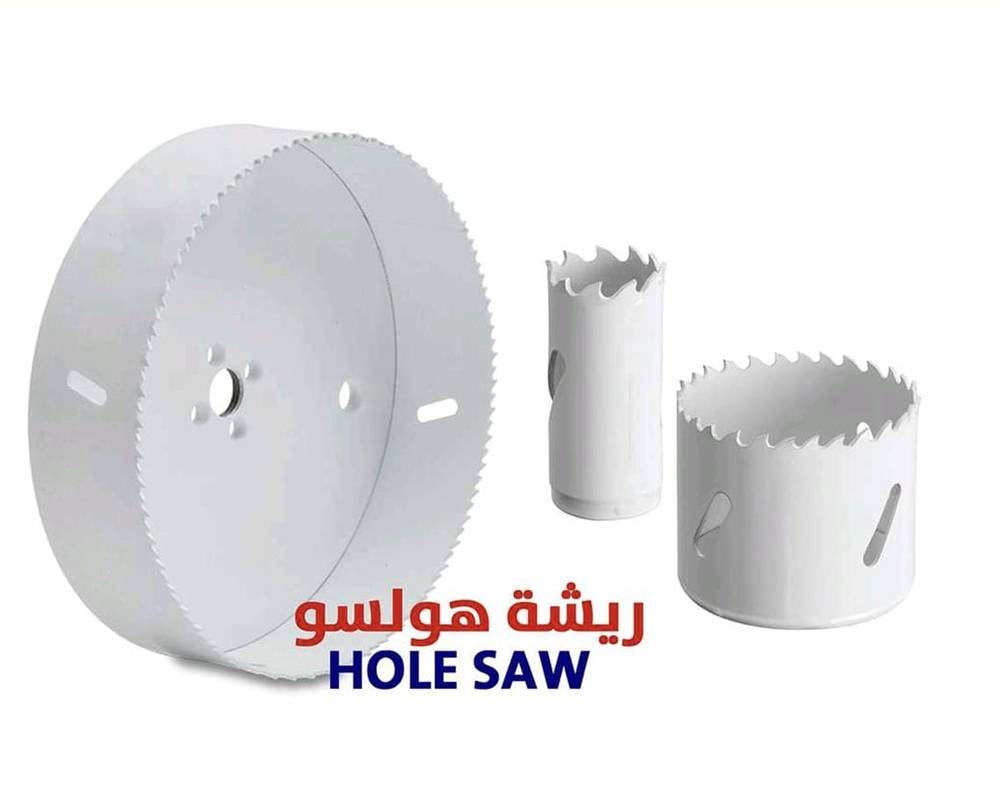 ريشة هولسو