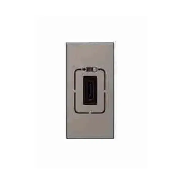 ليجراند - فيش أرتيور - USB من النوع C - 1.5 أمبير/7.5 وات - 5 فولت - 1 موديول - مغنيسيوم