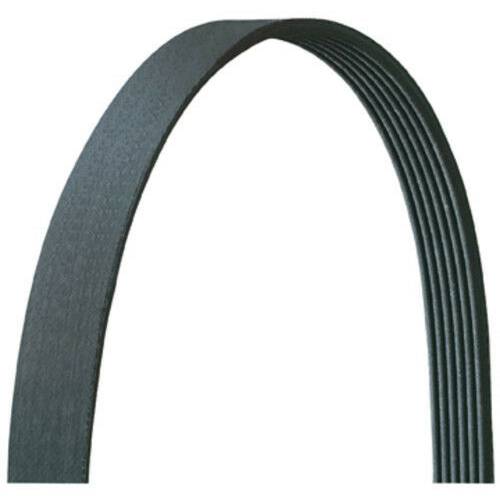 DAYCO SERPENTINE BELT 5050368DR سير مكينة