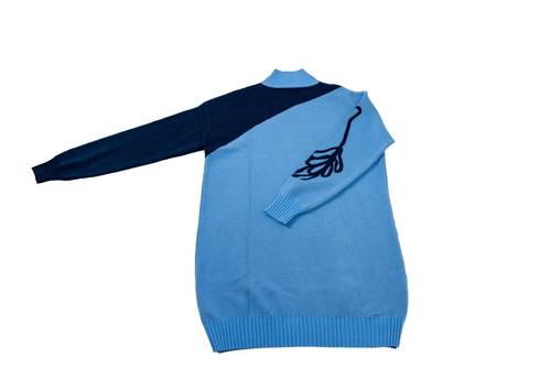 Blue women sweater