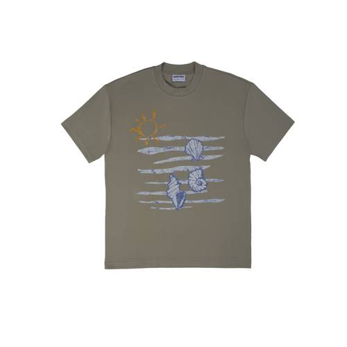 Seashell - Brownish Gray