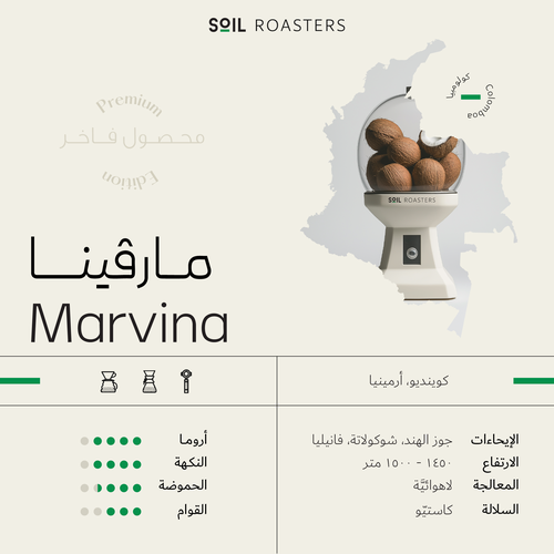 Marvina | مارفينا