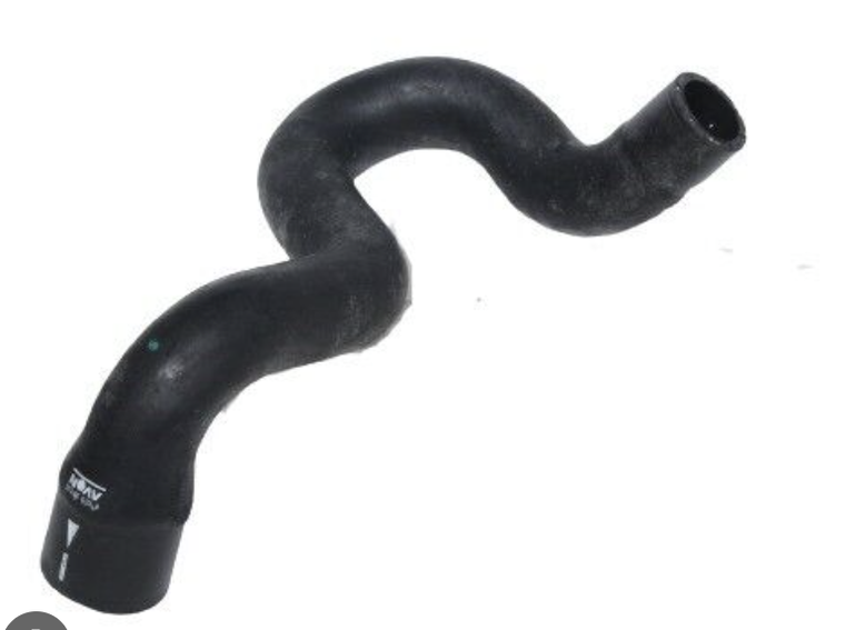 HOSE-RADIATOR,LOWER