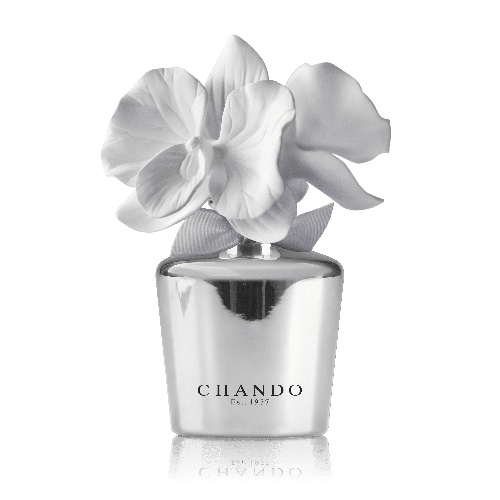 Mini Silver 35mL