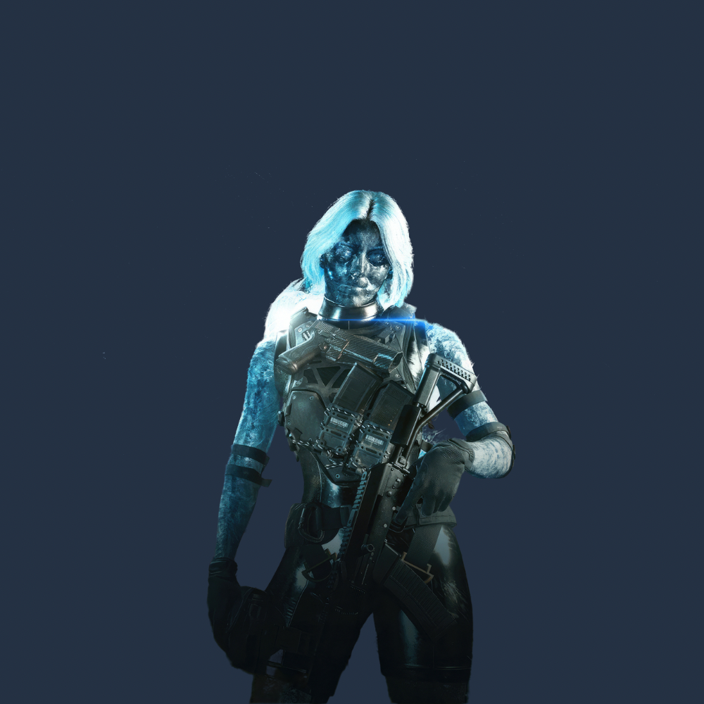 حزمة ICEFLOW