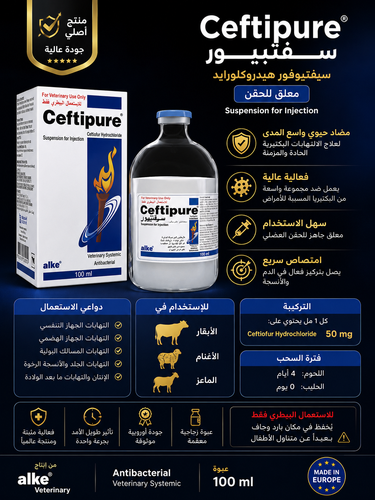 سفتي بيور