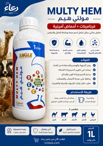 مولتي هيم