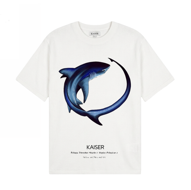 Sharks T-Shirts