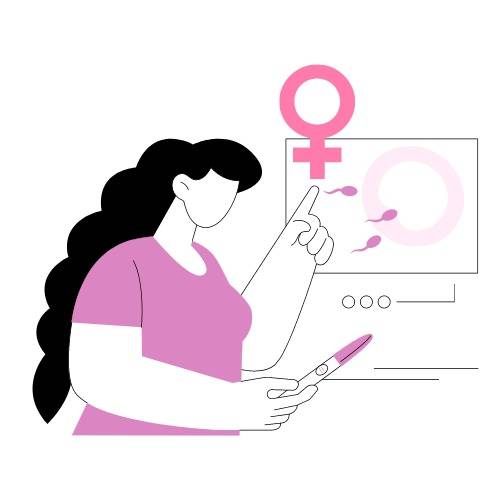 ملف شرح نظام الحمل بانثى كامل