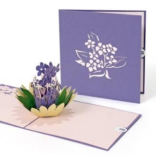 Forget-Me-Not Flower