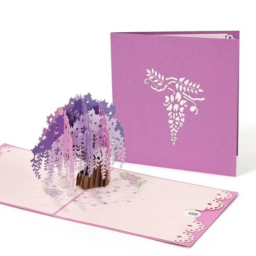 Wisteria Flowers