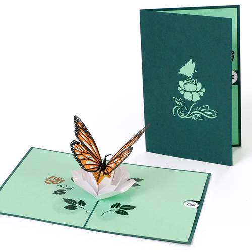 Butterfly 2