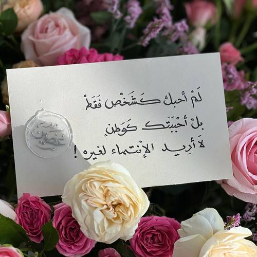 أحببتك كوطن ..
