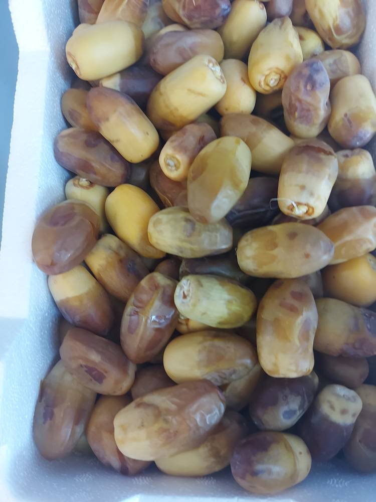 رطب برني منتج عضوي 
