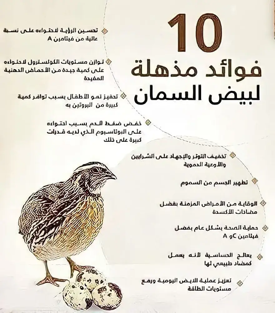 بيض سمان( ١٨ حبه)