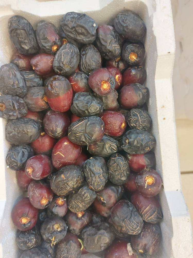 رطب عجوة منتج عضوي( فلين )