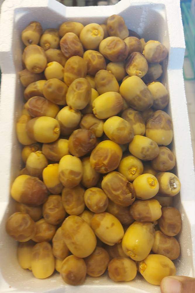 رطب روثانه حبه فاخرة 