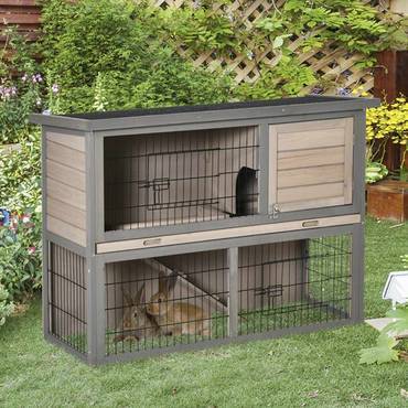 Cage 464