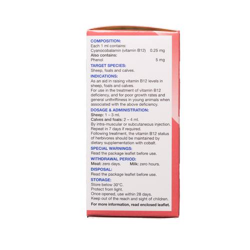 CYANOSAV B12 FORTE INJ 100ML