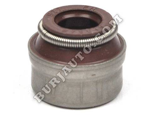جلد بلوف 3.6