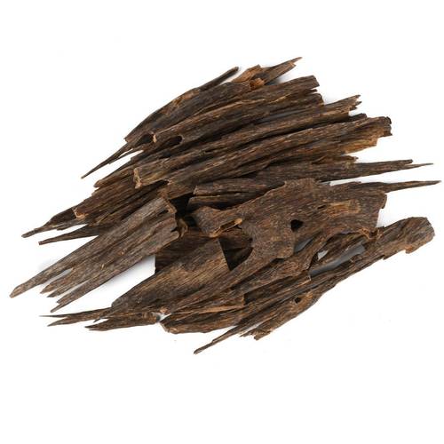 هندي تجوري ( توله )