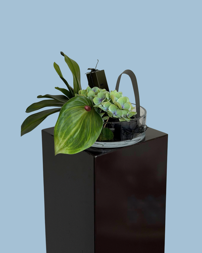 AN GIFT