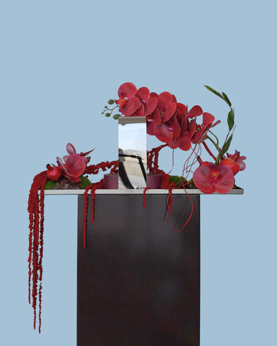 NOORÉ GIFT