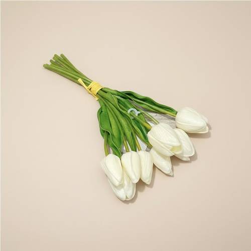 Tulip flowers - Off-white