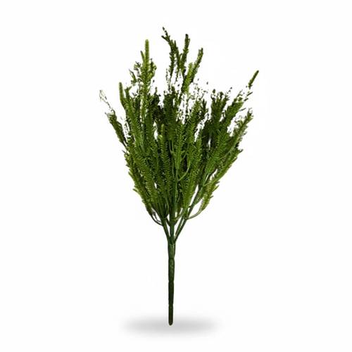 White lavender 
