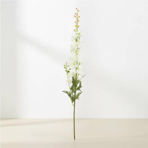 Delphinium branch
