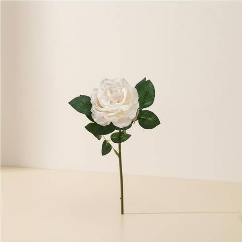 Rose flower -off-white color