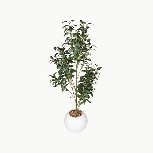 Ornamental tree with stand